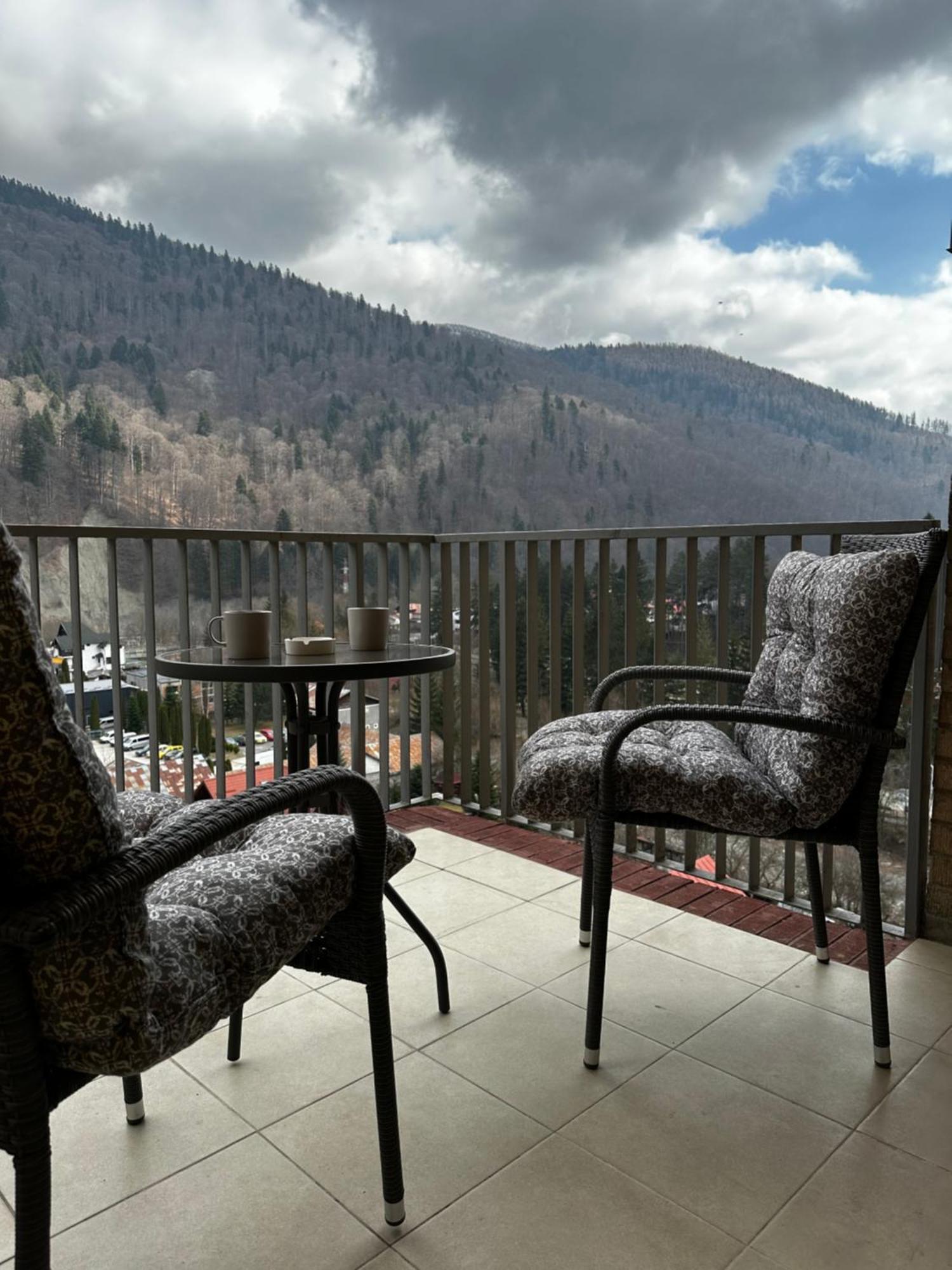 Colette Studio Belleview Sinaia Exterior photo