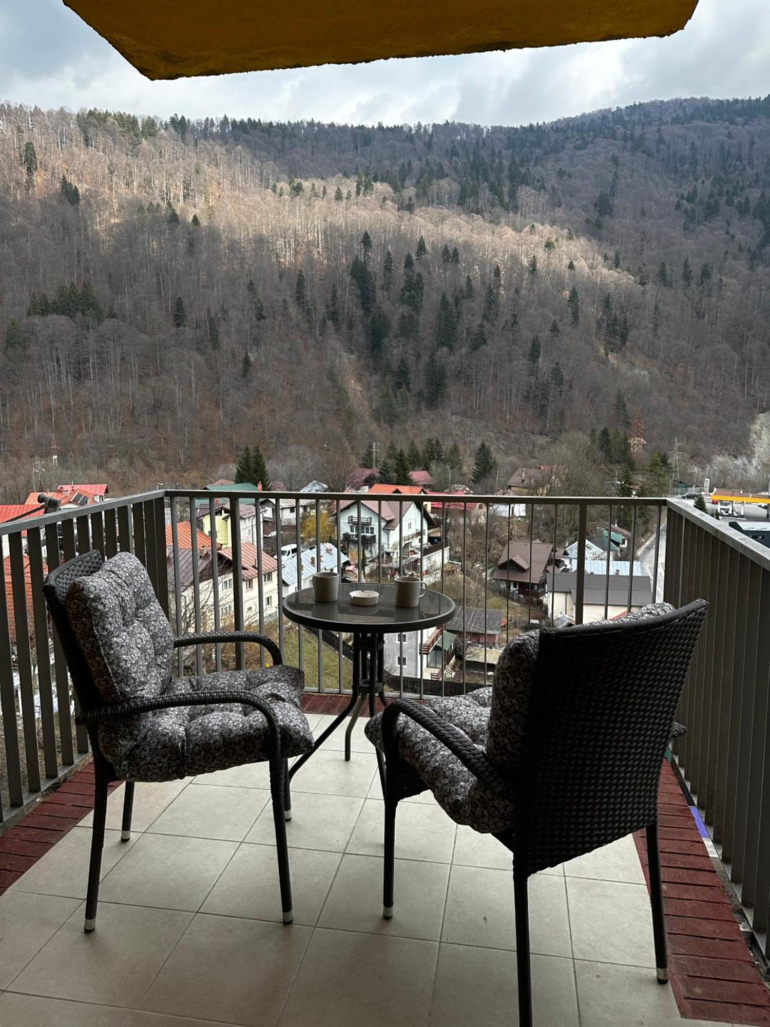 Colette Studio Belleview Sinaia Exterior photo