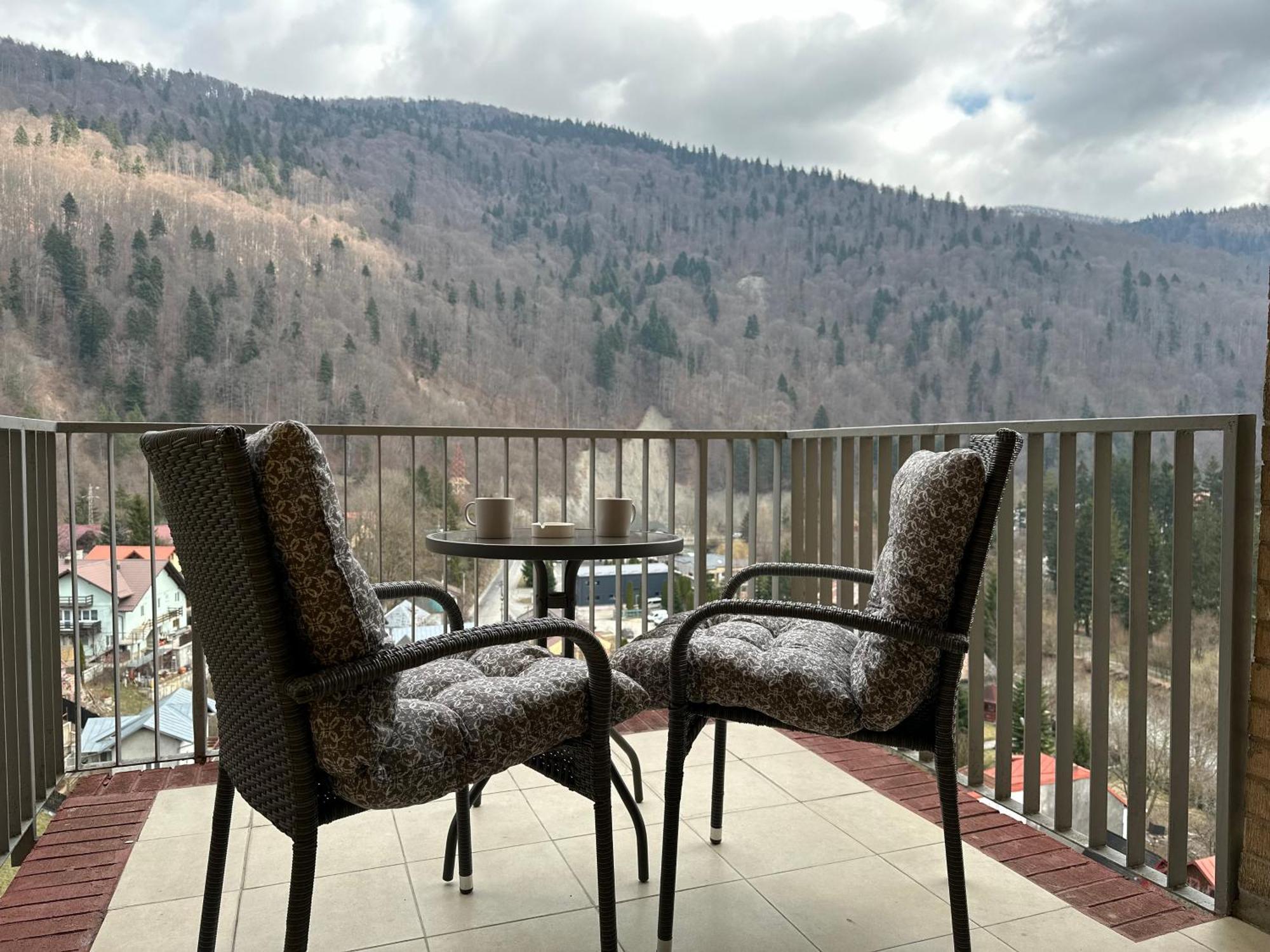 Colette Studio Belleview Sinaia Exterior photo